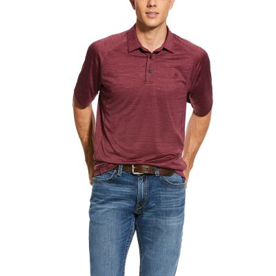 Ariat Charger - Polo Bordeaux Heren - 33634-706